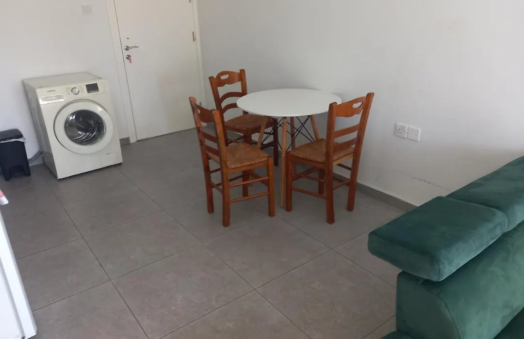 Central Modern Newly Furnished Apartment-1