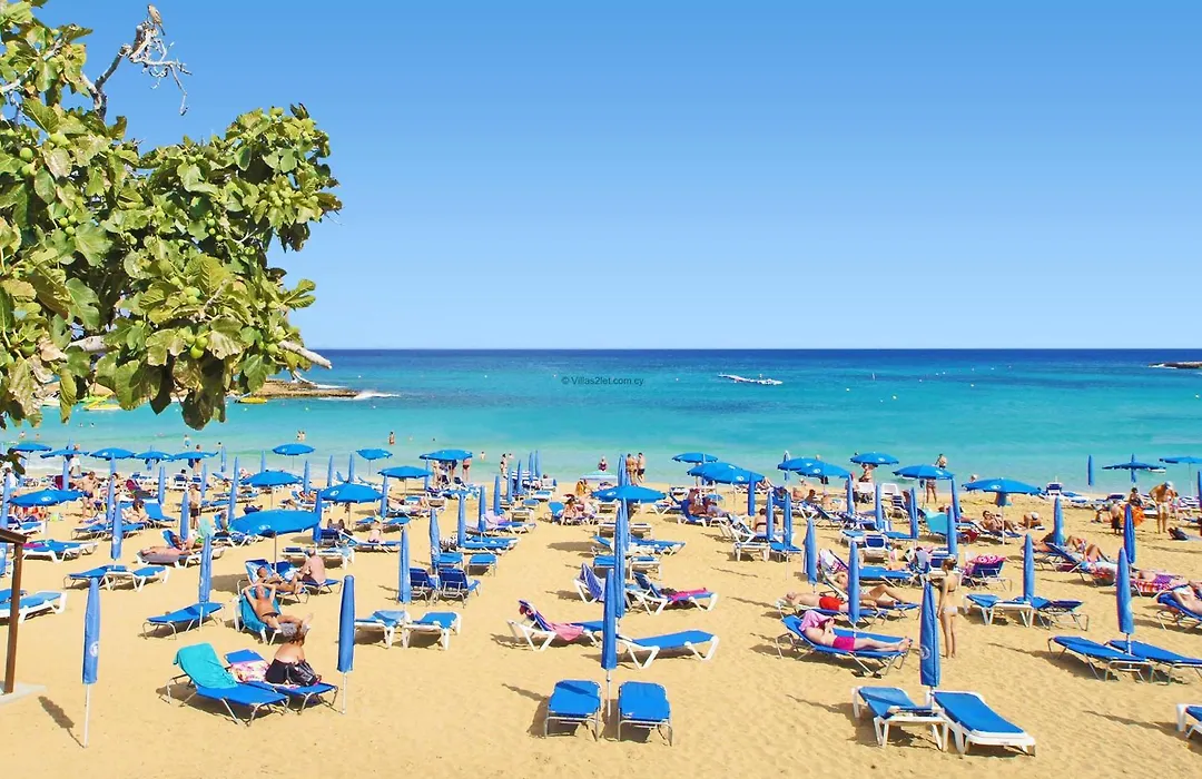 Villa Atlantia - Nissi Beach Area-1