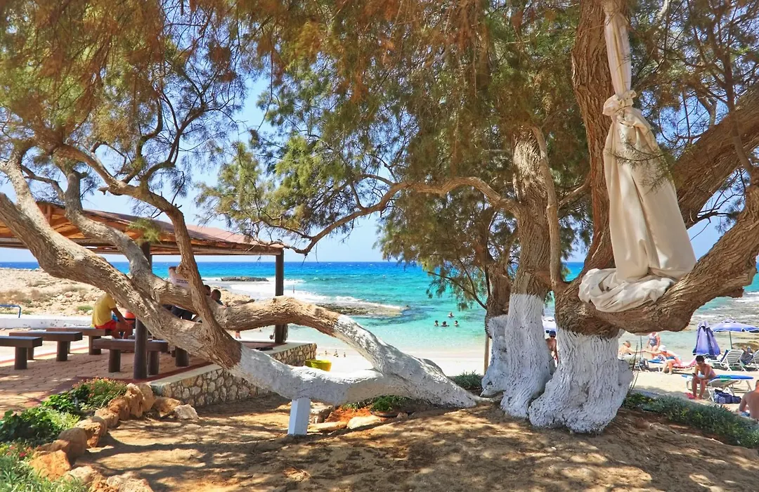 Sea Pearl Beachfront Villas - Breeze-1