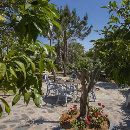 How To Rent Your Own Villa In Protaras With Fantastic Private Pool, Protaras Villa 1534-2