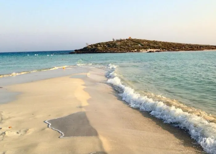 Nissi Golden Sand Lovely One Bedroom Apartment With Spacious Terrace And Free Parking Agia Napa